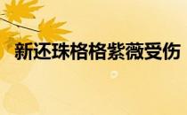 新还珠格格紫薇受伤（新还珠之折磨紫薇）