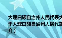 大理白族自治州人民代表大会及其常务委员会立法条例（关于大理白族自治州人民代表大会及其常务委员会立法条例简介）