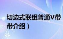 切边式联组普通V带（关于切边式联组普通V带介绍）