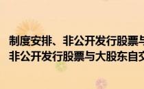 制度安排、非公开发行股票与大股东自交易（关于制度安排、非公开发行股票与大股东自交易）