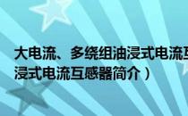 大电流、多绕组油浸式电流互感器（关于大电流、多绕组油浸式电流互感器简介）