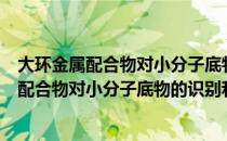 大环金属配合物对小分子底物的识别和活化（关于大环金属配合物对小分子底物的识别和活化简介）