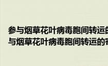 参与烟草花叶病毒胞间转运的寄主因子基因的克隆（关于参与烟草花叶病毒胞间转运的寄主因子基因的克隆介绍）