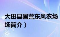 大田县国营东风农场（关于大田县国营东风农场简介）