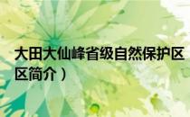 大田大仙峰省级自然保护区（关于大田大仙峰省级自然保护区简介）