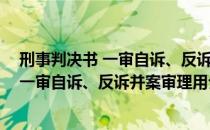 刑事判决书 一审自诉、反诉并案审理用（关于刑事判决书 一审自诉、反诉并案审理用介绍）