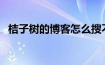 桔子树的博客怎么搜不到（桔子树的博客）