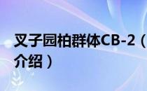 叉子园柏群体CB-2（关于叉子园柏群体CB-2介绍）