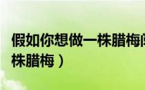 假如你想做一株腊梅阅读理解（假如你想做一株腊梅）