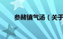 参赭镇气汤（关于参赭镇气汤介绍）