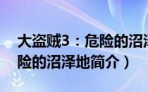 大盗贼3：危险的沼泽地（关于大盗贼3：危险的沼泽地简介）