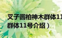 叉子圆柏神木群体11号（关于叉子圆柏神木群体11号介绍）