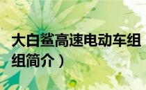 大白鲨高速电动车组（关于大白鲨高速电动车组简介）