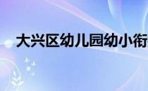 大兴区幼儿园幼小衔接项目开展研修活动