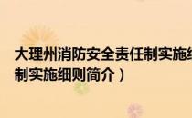 大理州消防安全责任制实施细则（关于大理州消防安全责任制实施细则简介）