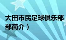 大田市民足球俱乐部（关于大田市民足球俱乐部简介）