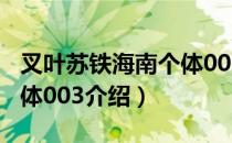 叉叶苏铁海南个体003（关于叉叶苏铁海南个体003介绍）