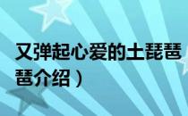 又弹起心爱的土琵琶（关于又弹起心爱的土琵琶介绍）