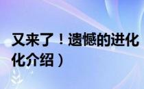 又来了！遗憾的进化（关于又来了！遗憾的进化介绍）