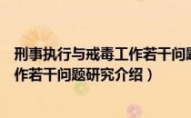 刑事执行与戒毒工作若干问题研究（关于刑事执行与戒毒工作若干问题研究介绍）