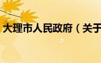 大理市人民政府（关于大理市人民政府简介）