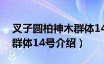 叉子圆柏神木群体14号（关于叉子圆柏神木群体14号介绍）