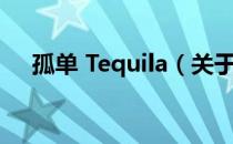 孤单 Tequila（关于孤单 Tequila介绍）