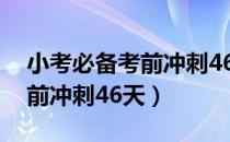 小考必备考前冲刺46天电子版（小考必备考前冲刺46天）