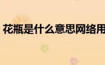 花瓶是什么意思网络用语（花瓶是什么意思）