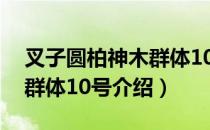 叉子圆柏神木群体10号（关于叉子圆柏神木群体10号介绍）