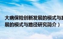 大病保险创新发展的模式与路径研究（关于大病保险创新发展的模式与路径研究简介）