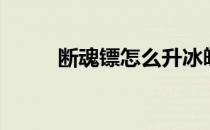 断魂镖怎么升冰魄神针（断魂镖）