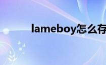 lameboy怎么存档（lameboy）