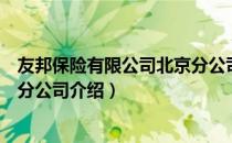 友邦保险有限公司北京分公司（关于友邦保险有限公司北京分公司介绍）