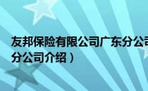 友邦保险有限公司广东分公司（关于友邦保险有限公司广东分公司介绍）