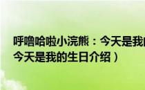 呼噜哈啦小浣熊：今天是我的生日（关于呼噜哈啦小浣熊：今天是我的生日介绍）