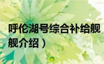 呼伦湖号综合补给舰（关于呼伦湖号综合补给舰介绍）