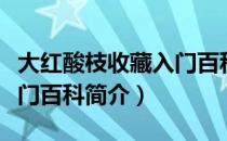 大红酸枝收藏入门百科（关于大红酸枝收藏入门百科简介）