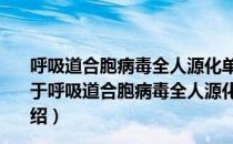 呼吸道合胞病毒全人源化单克隆抗体制备及其机理研究（关于呼吸道合胞病毒全人源化单克隆抗体制备及其机理研究介绍）