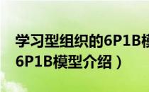 学习型组织的6P1B模型（关于学习型组织的6P1B模型介绍）