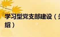 学习型党支部建设（关于学习型党支部建设介绍）