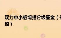 双力中小板综指分级基金（关于双力中小板综指分级基金介绍）