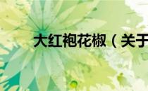 大红袍花椒（关于大红袍花椒简介）