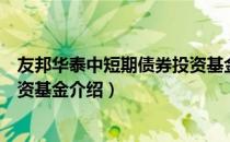 友邦华泰中短期债券投资基金（关于友邦华泰中短期债券投资基金介绍）