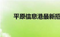 平原信息港最新招聘（平原信息港）