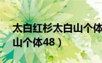 太白红杉太白山个体48（关于太白红杉太白山个体48）