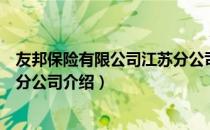 友邦保险有限公司江苏分公司（关于友邦保险有限公司江苏分公司介绍）