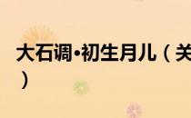 大石调·初生月儿（关于大石调·初生月儿简介）