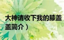 大神请收下我的膝盖（关于大神请收下我的膝盖简介）