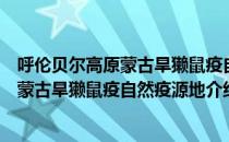 呼伦贝尔高原蒙古旱獭鼠疫自然疫源地（关于呼伦贝尔高原蒙古旱獭鼠疫自然疫源地介绍）